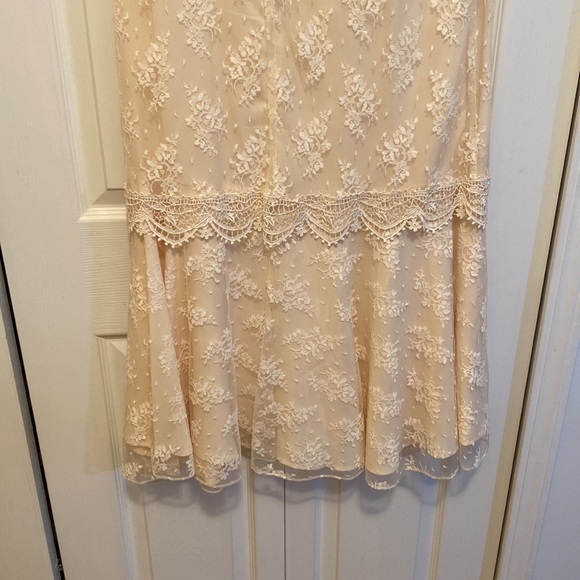 BARBARA CHODOS FOR MICHAEL MARCELLA SIZE 14 BEIGE LACE over BEIGE SATIN LOVELY - Picture 5 of 8